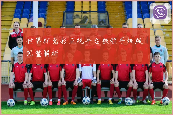 世界杯竞彩正规平台教程手机版｜完整解析