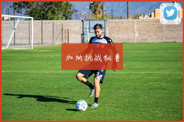 加纳挑战秘鲁