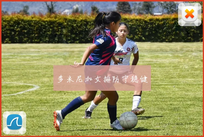 多米尼加女排防守稳健