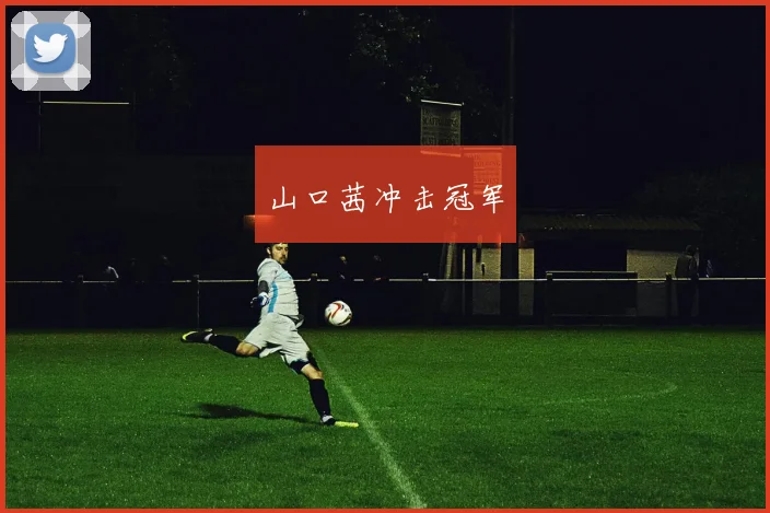 山口茜冲击冠军
