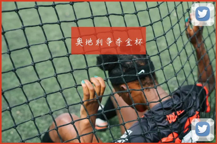 奥地利争夺金杯