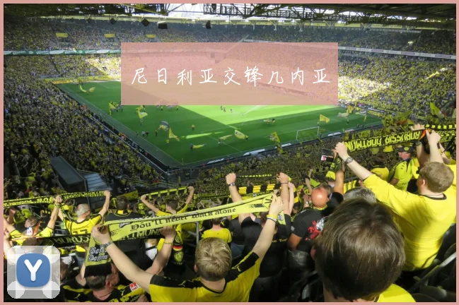尼日利亚交锋几内亚