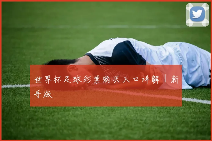 世界杯足球彩票购买入口详解｜新手版
