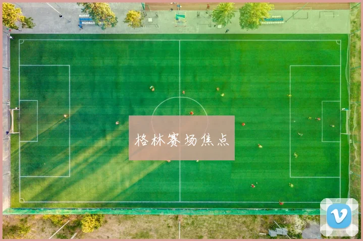 格林赛场焦点